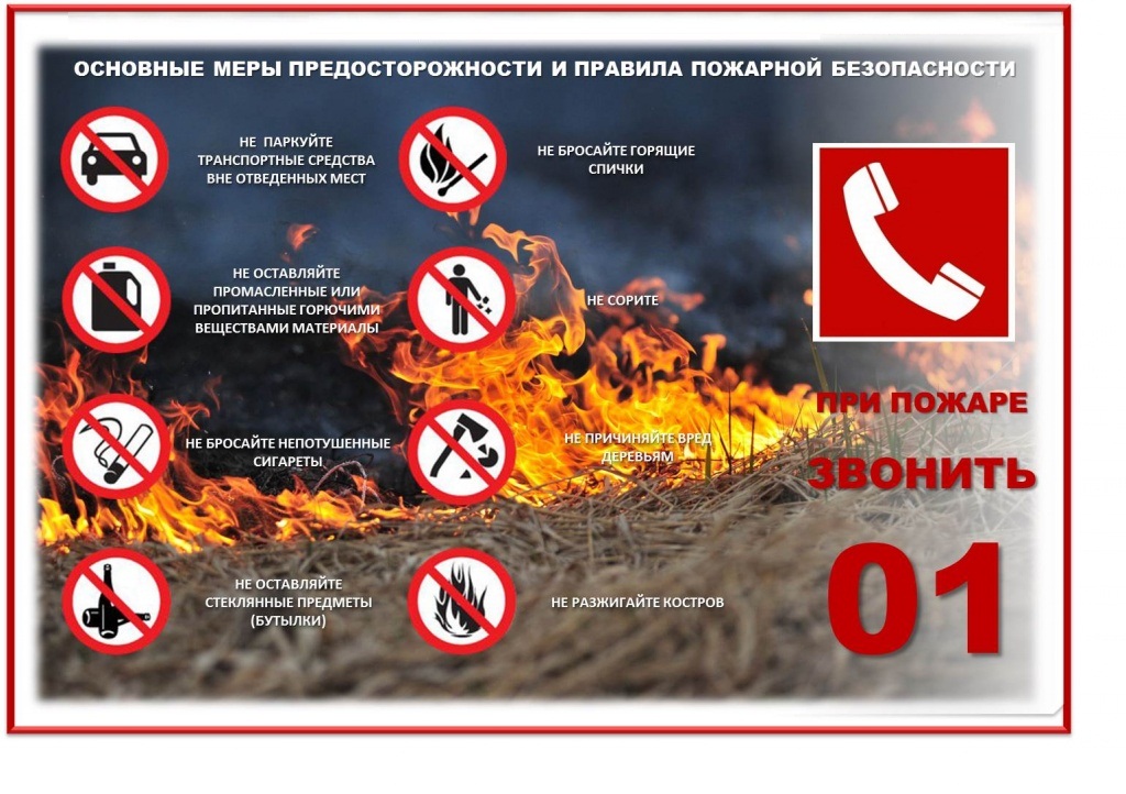 pal-travy-4.jpg pal-travy-4.jpg